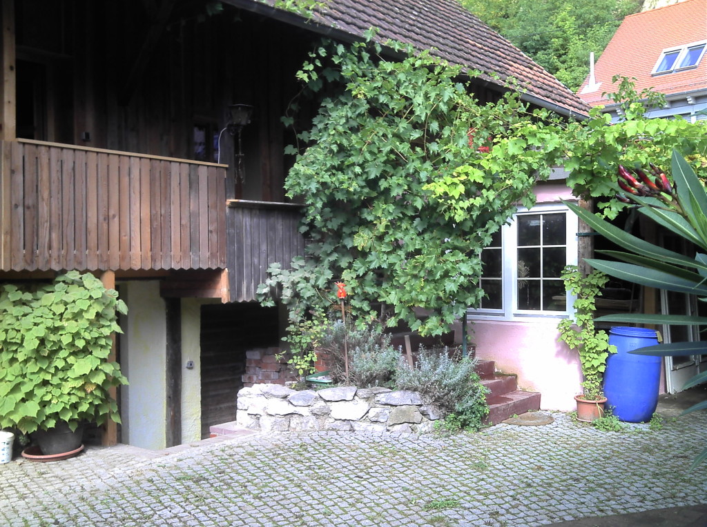 hofbild